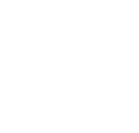 Project Fox